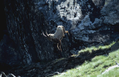 Le grand saut...